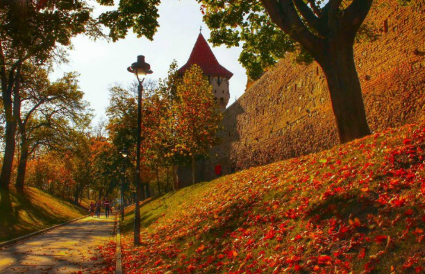 Toama pe langa zidurile cetatii medievale din Sibiu