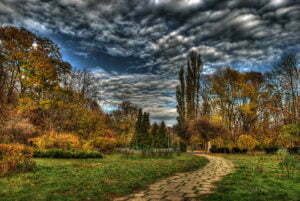 Parcul Regele Mihai I al României (Herăstrău)