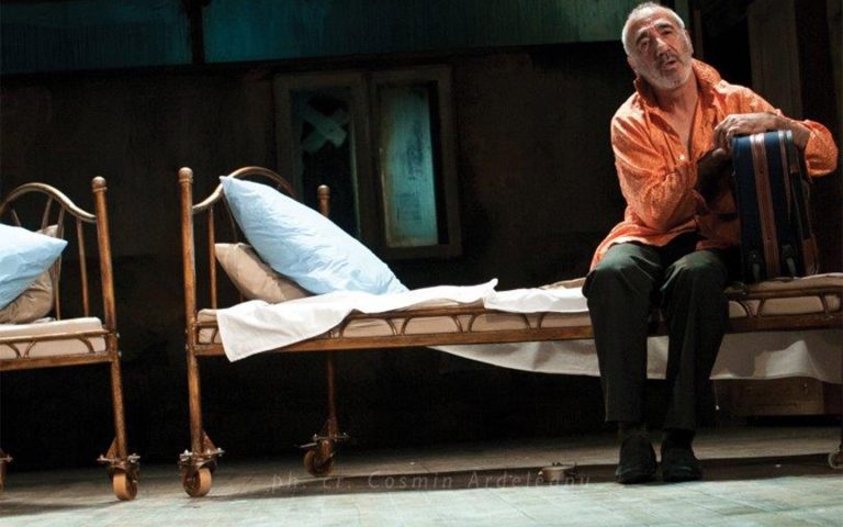 Meșteșugul Vieții