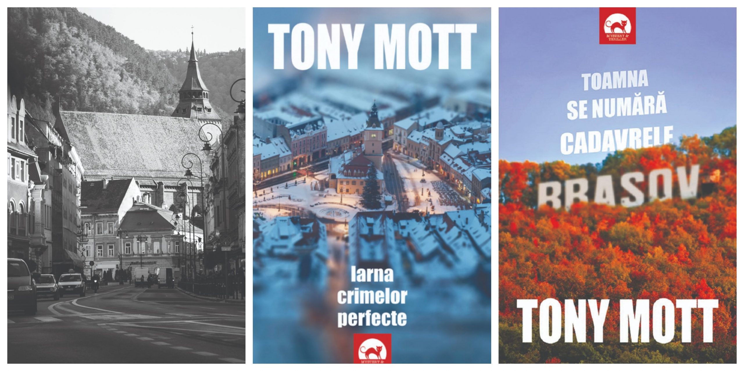 Tony Mott