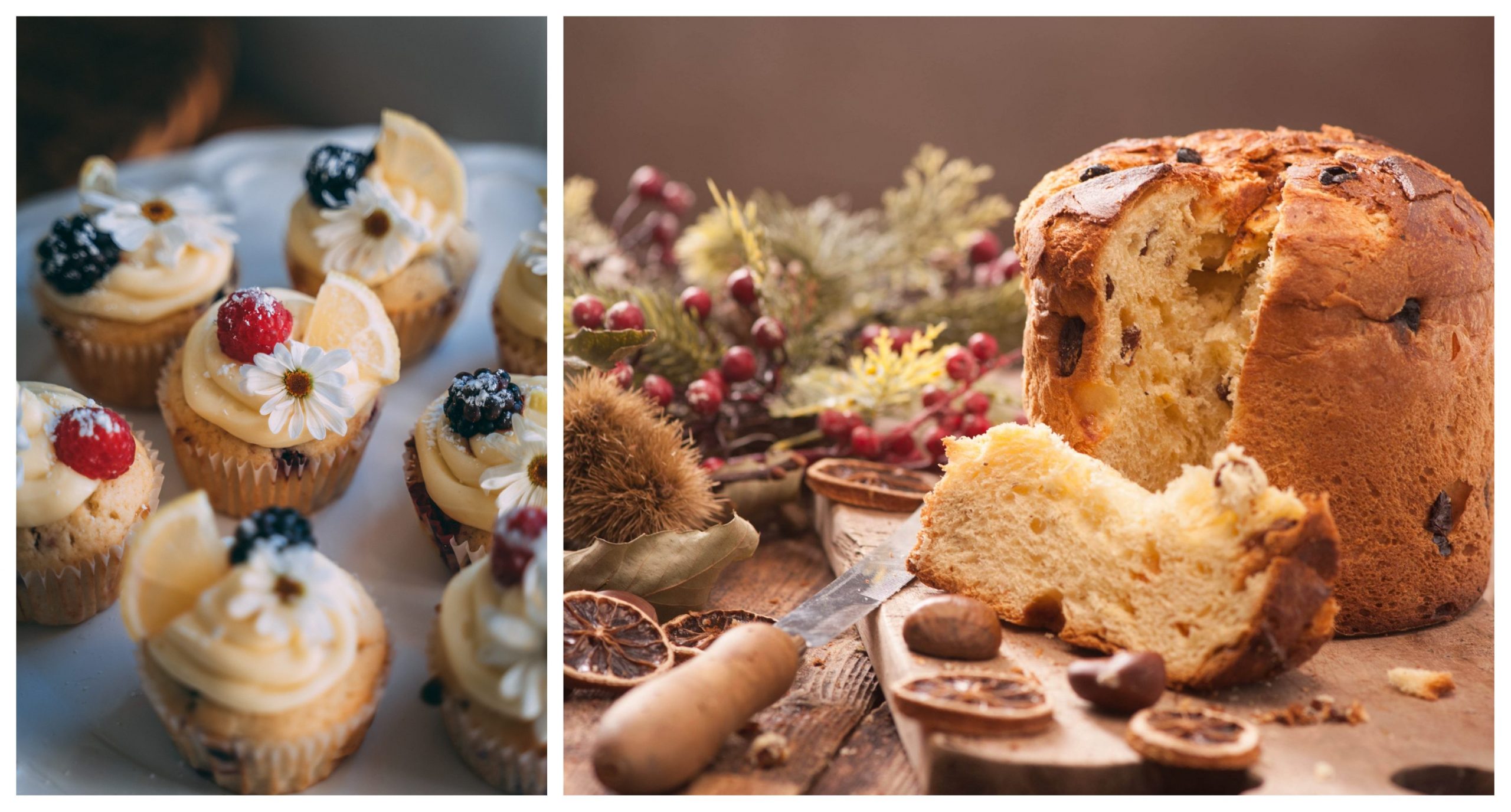 panettone si brioche