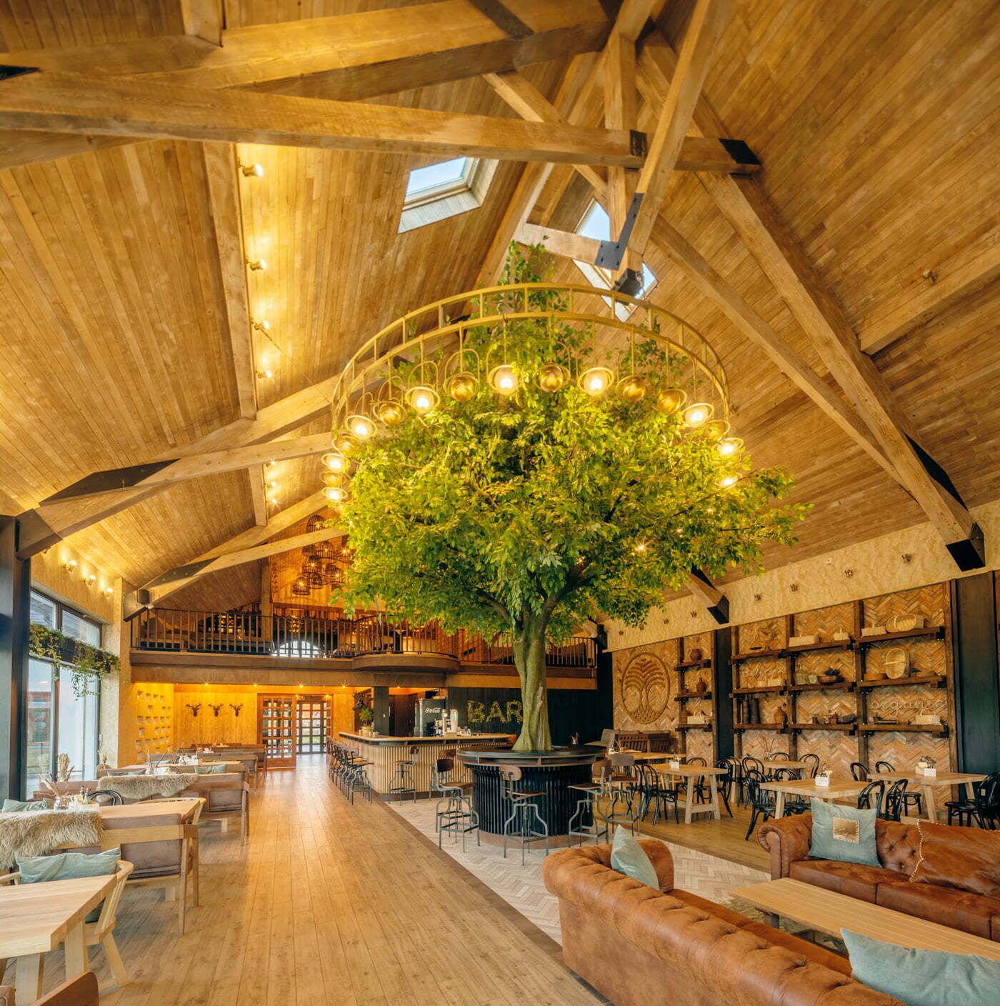 DESIGN SI ARHITECTURA DOR TOHANI