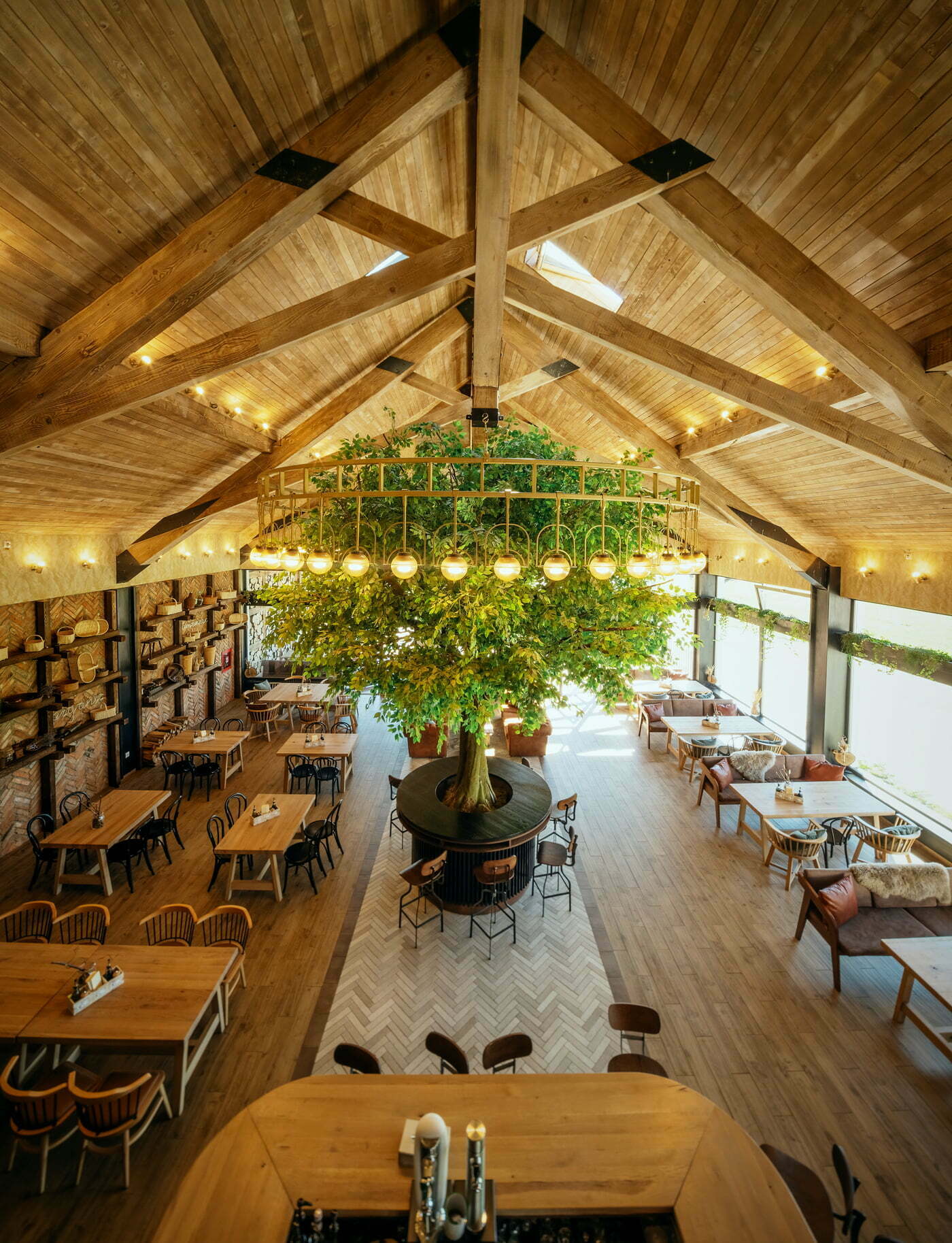 DESIGN SI ARHITECTURA DOR TOHANI