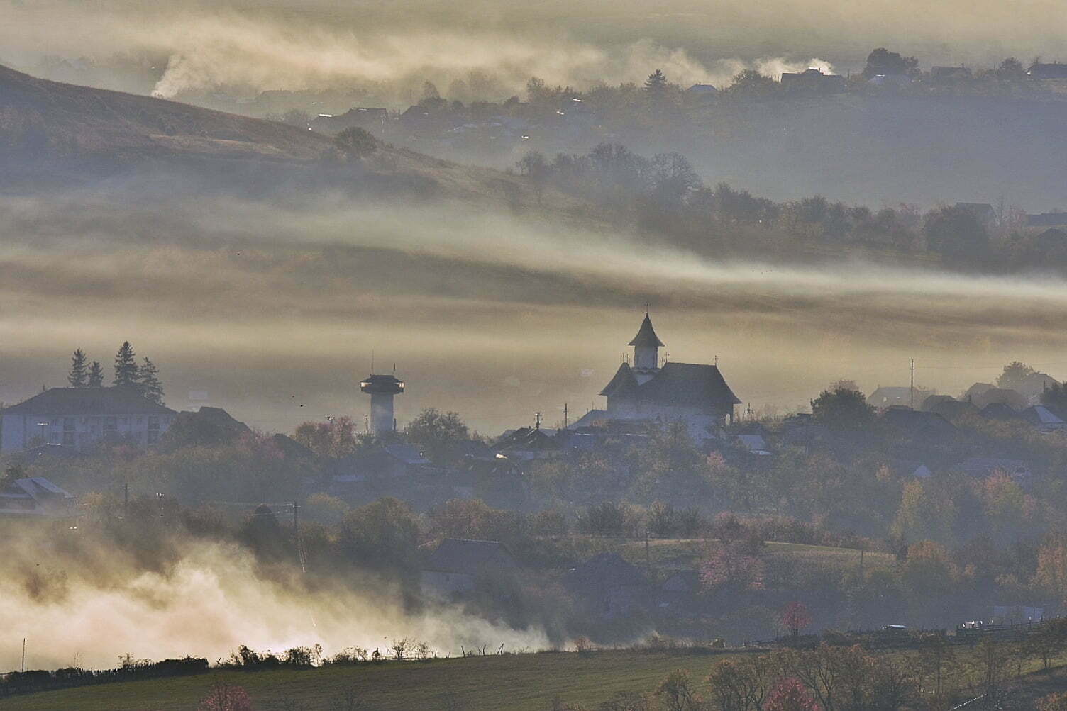 Tinutul Zimbrului Andrei Ștefan
