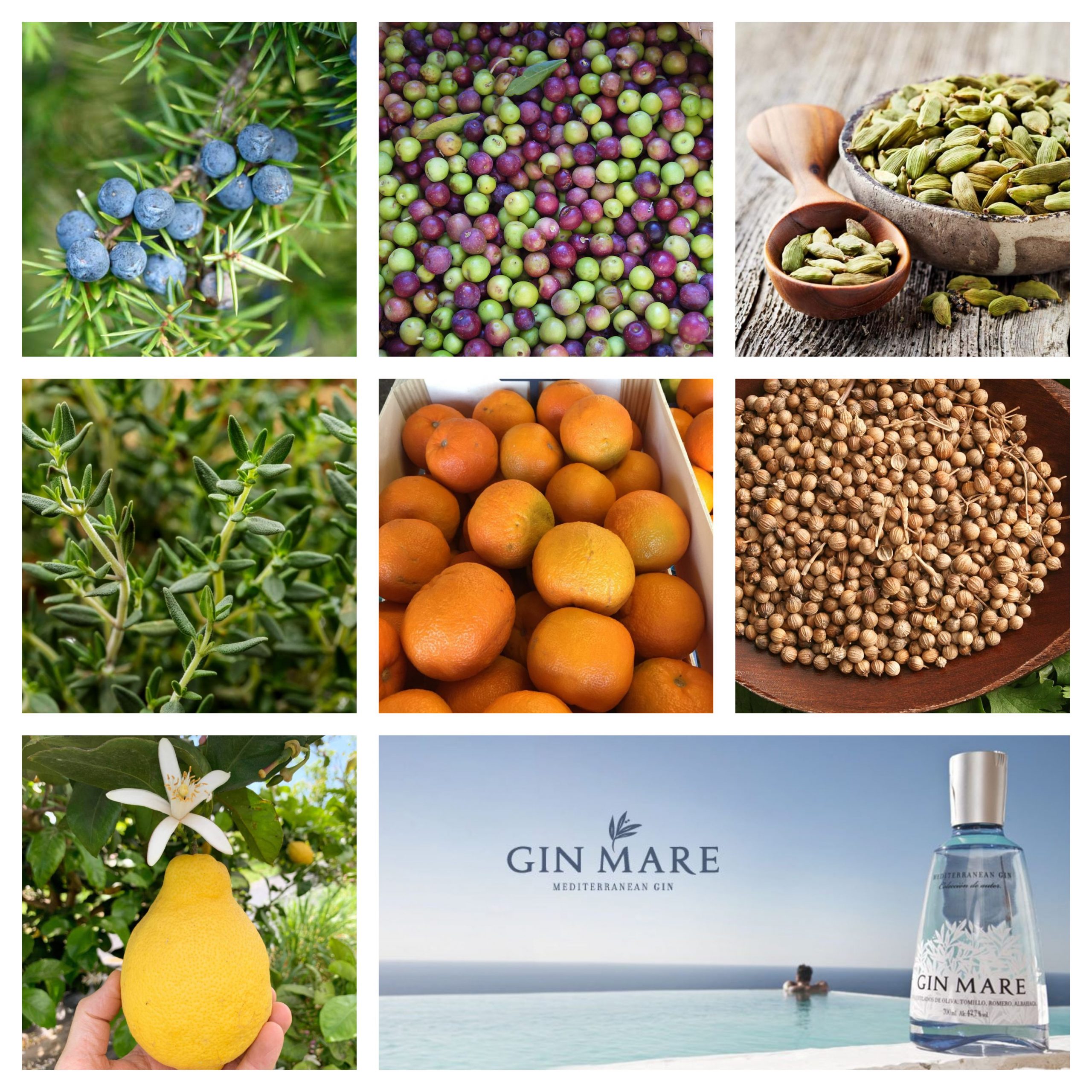 Gin MARE Colaj arome