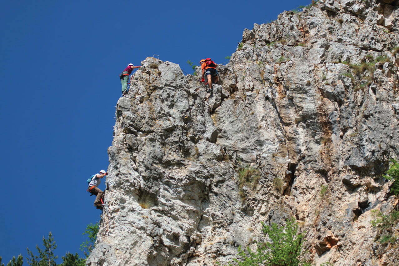 Padurea Craiului