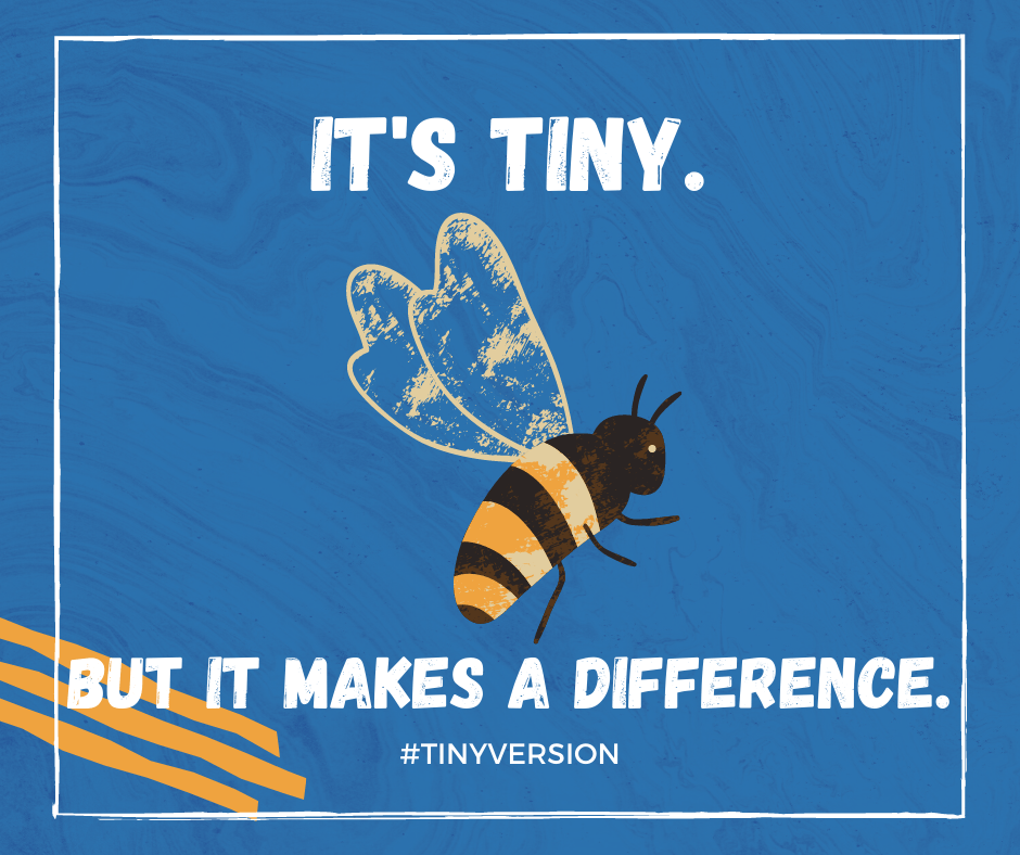 #TinyVersion