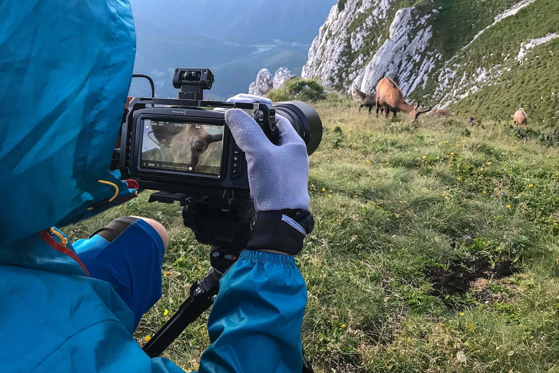 Romania Salbatica - Making off