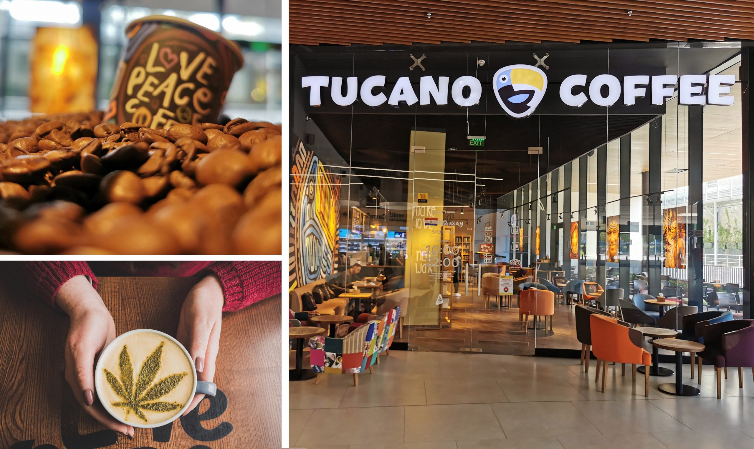 Tucano Coffee, cafeneaua care s-a dezvoltat împreună cu brașovenii