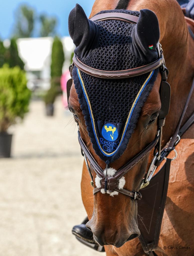 Regatul Cailor organizează cinci competiții ecvestre anul acesta lângă București