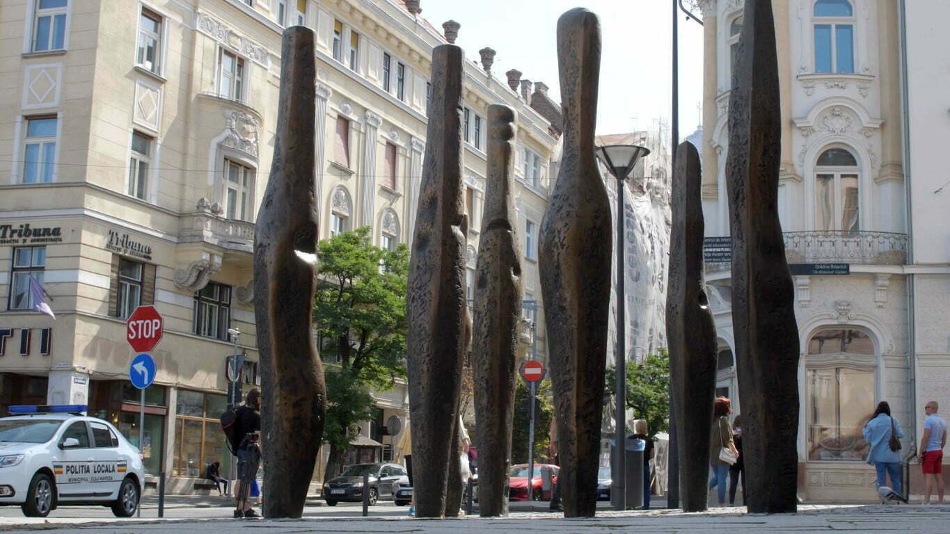 Stalpi impuscati Cluj