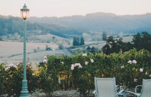 terase pexels-maria-orlova