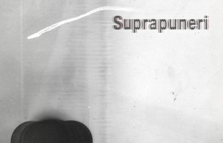 2 3 Galeria Suprapuneri