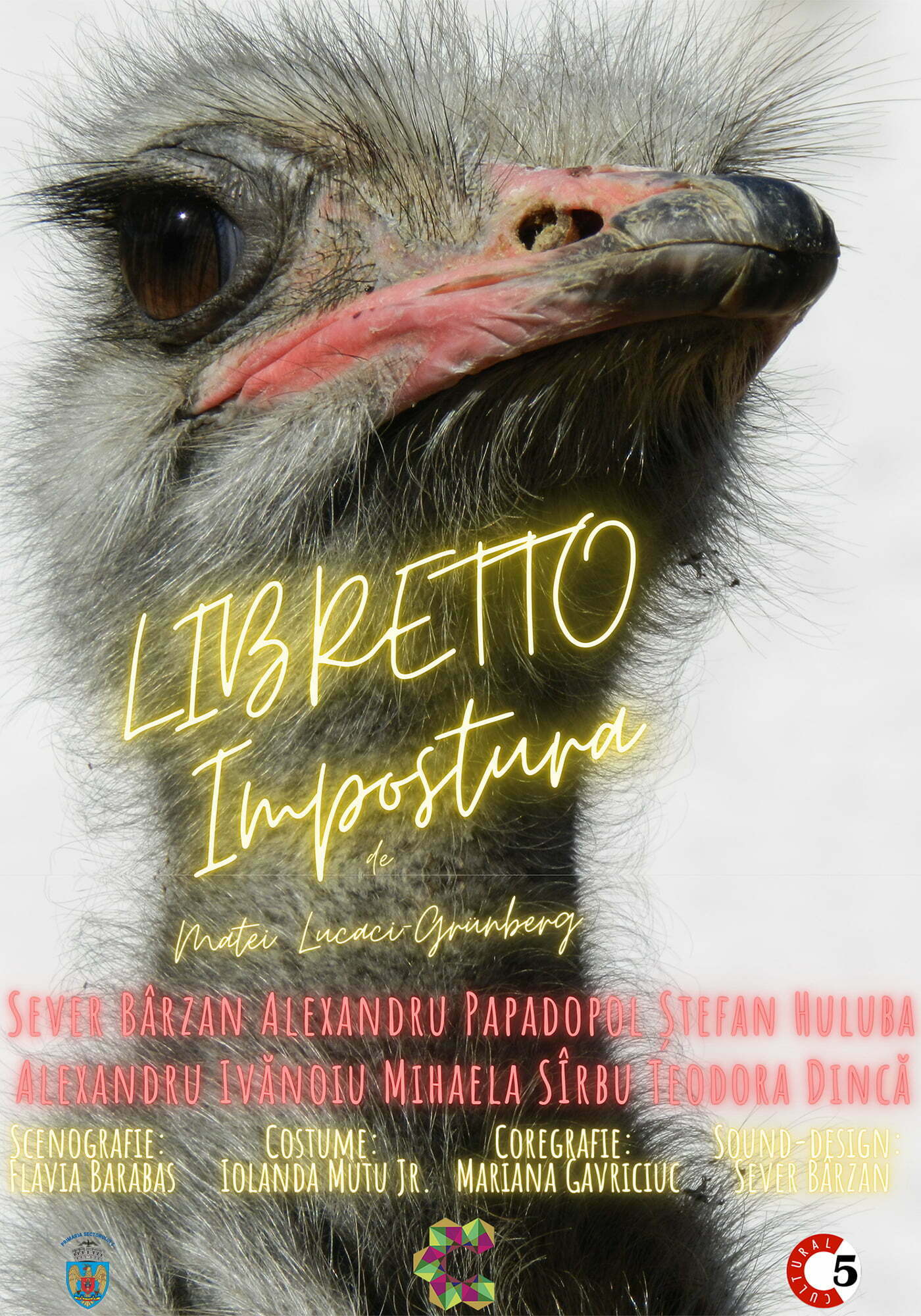 stagiunea caleido
