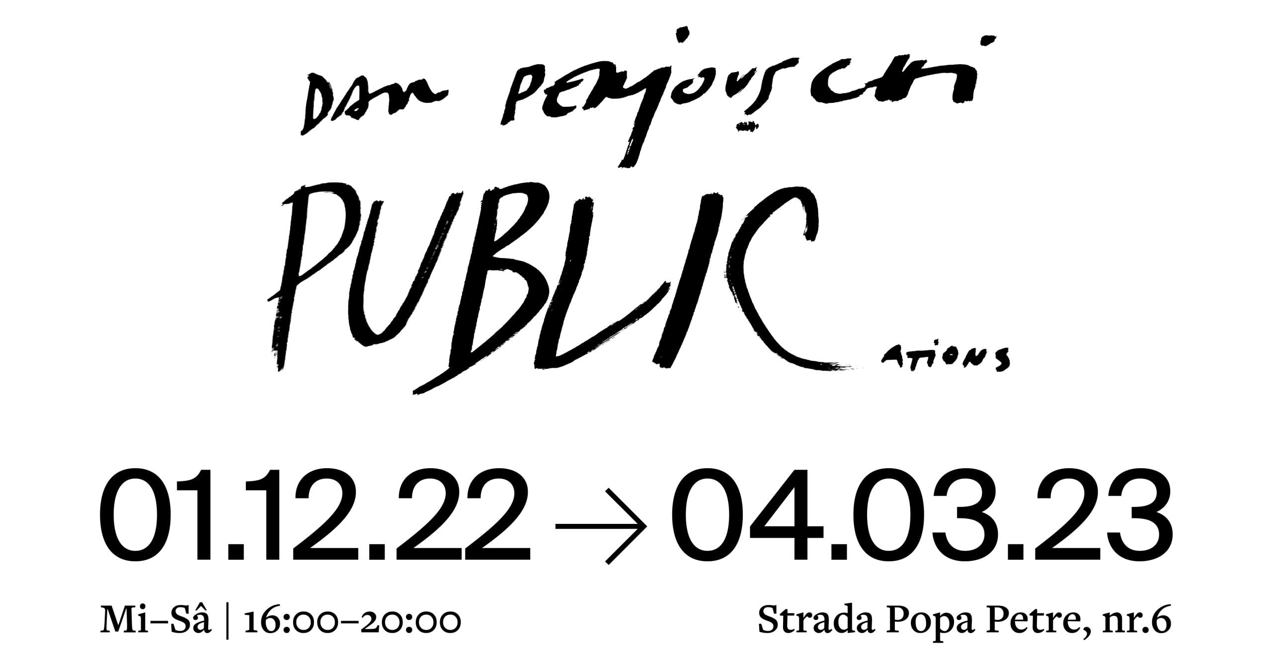 Dan Perjovschi: PUBLICations