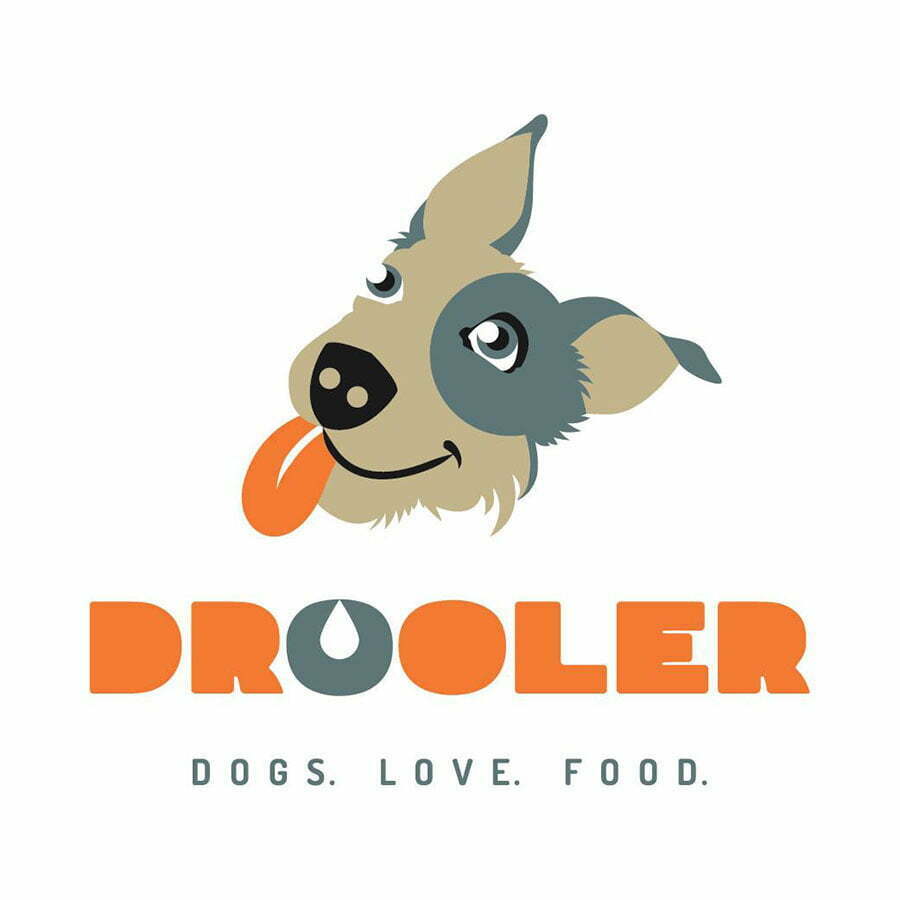Povești de succes | DROOLER primul brand românesc care produce și livrează mâncare gătită pentru câini