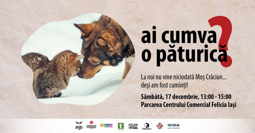 Ai cumva o păturică? Decembrie 2022