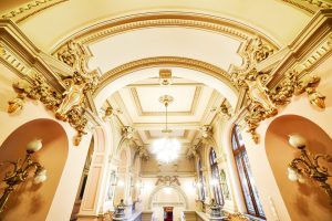Comorile regalității la Art Safari
