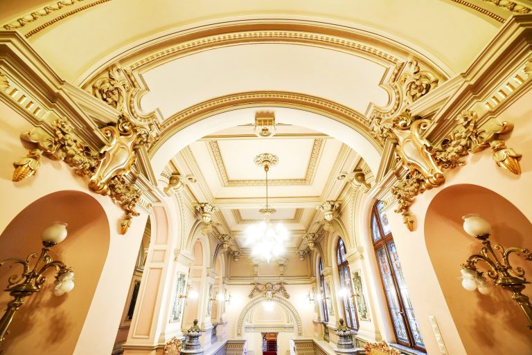 Comorile regalității la Art Safari