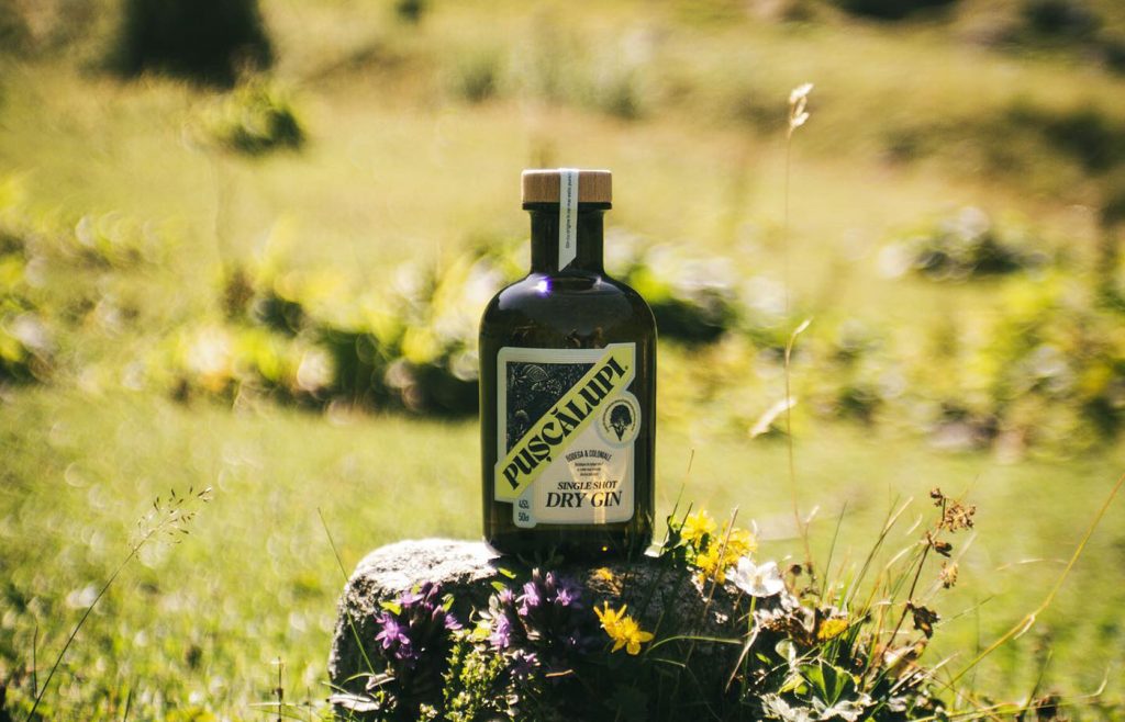 Pușcălupi-gin