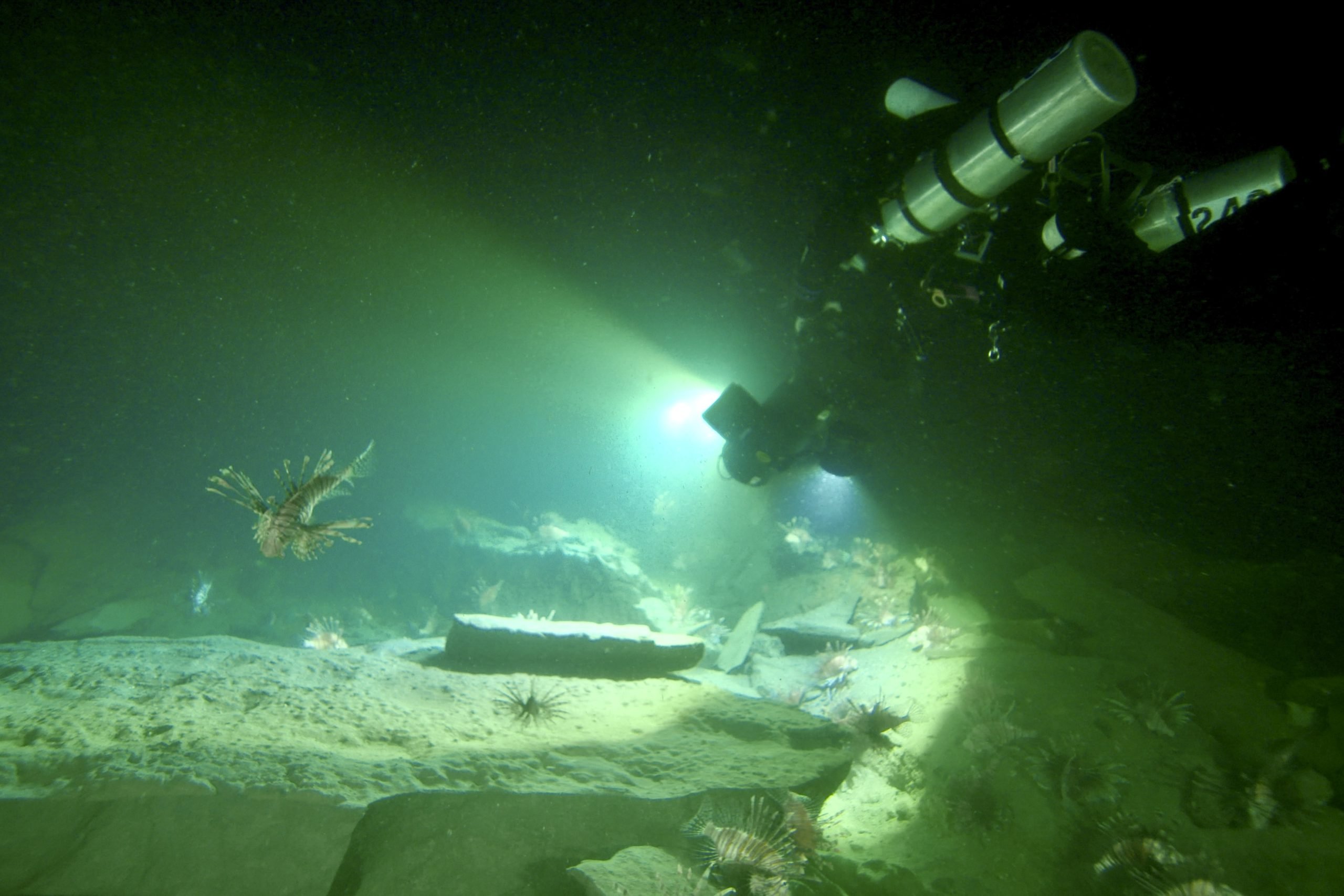 Recomandările lunii februarie 2023 la HISTORY Channel