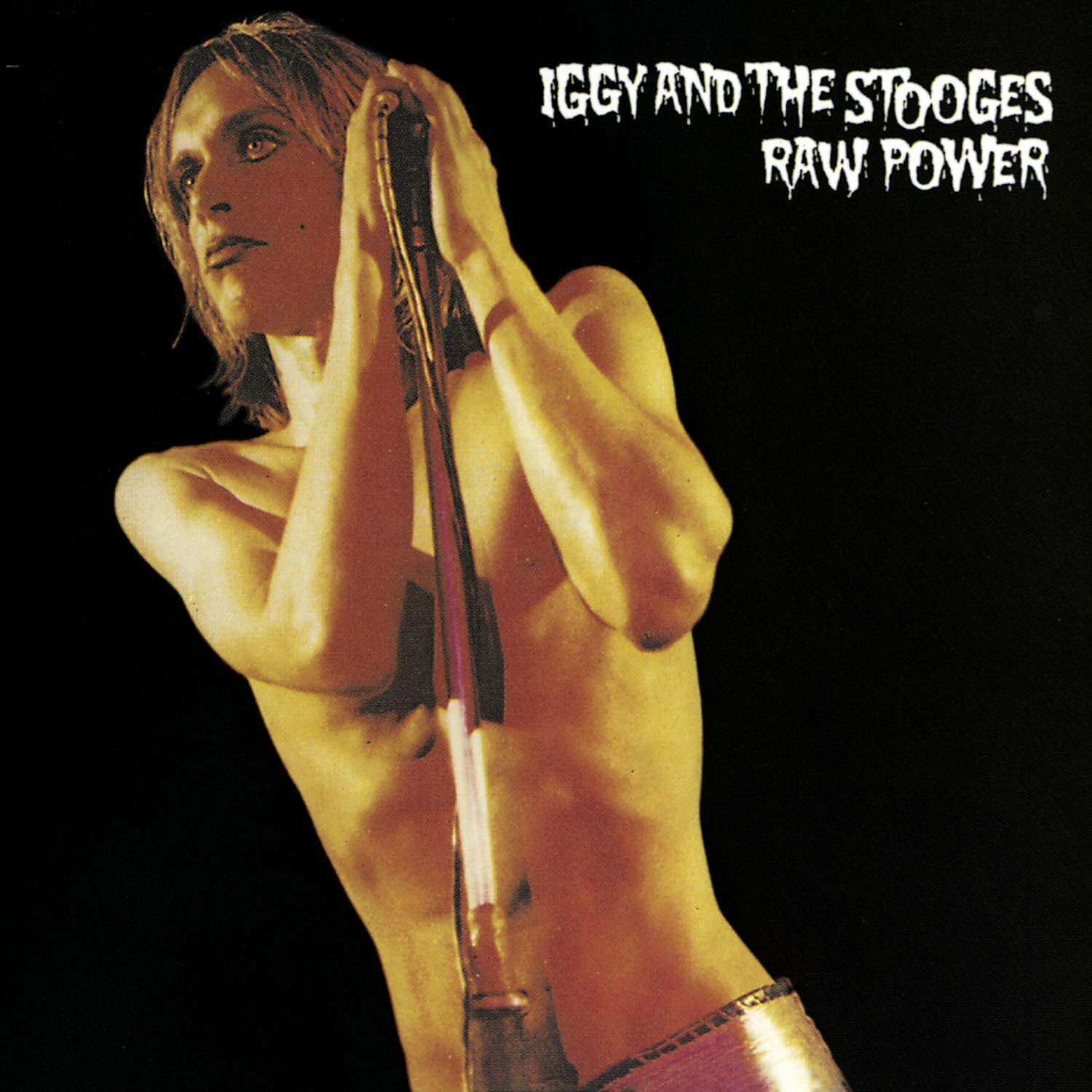 Iggy Pop & The Stooges: „RAW POWER”