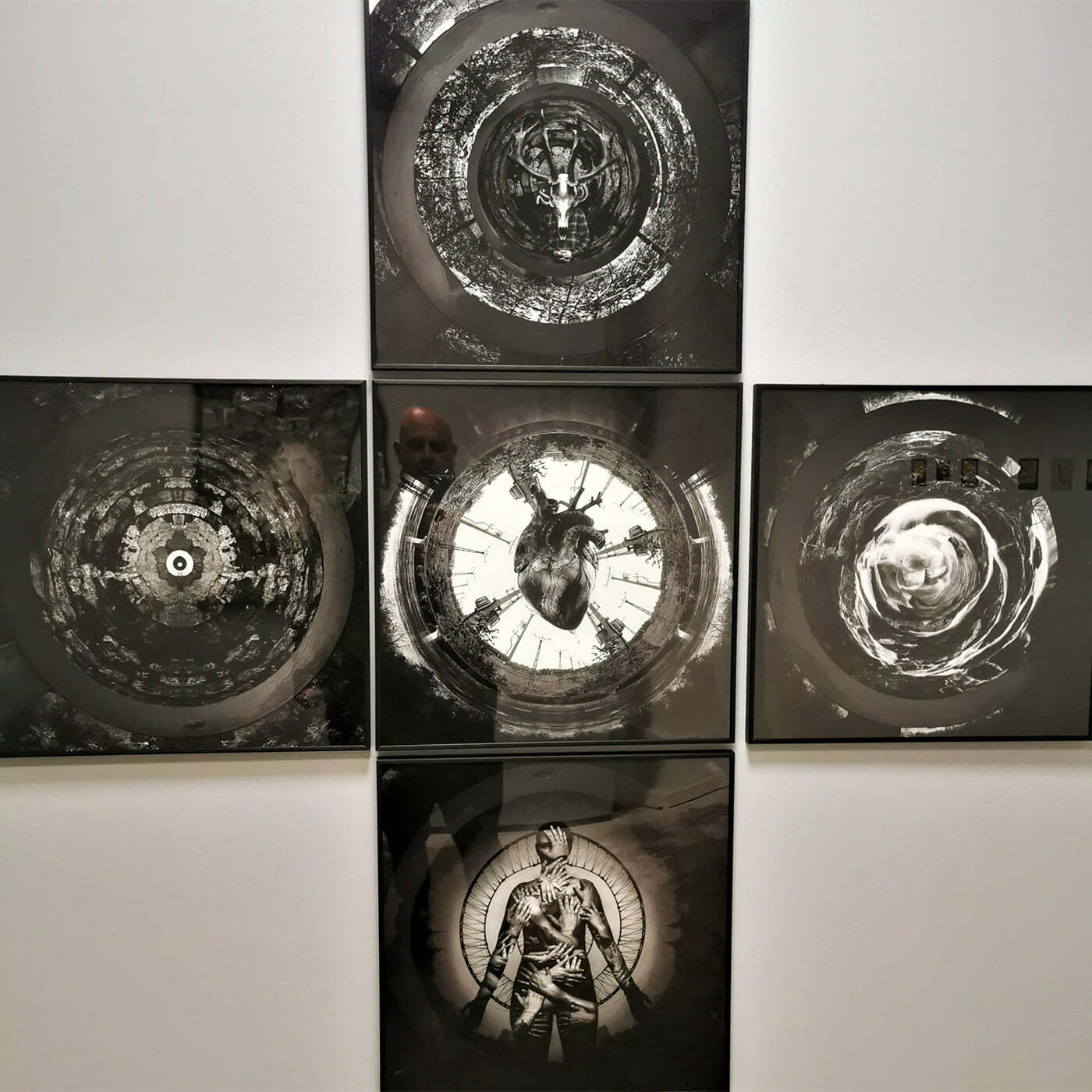 ART SAFARI vs. FASHION