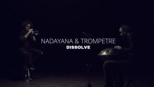 Artistul timișorean Petre Ionuțescu și instrumentistul Nadayana au lansat un nou single video, “Dissolve”.