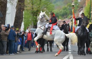 Junii Brasovului