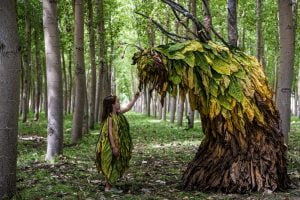 Selecția SMART7 la TIFF.22: voci inovatoare din șapte țări europene