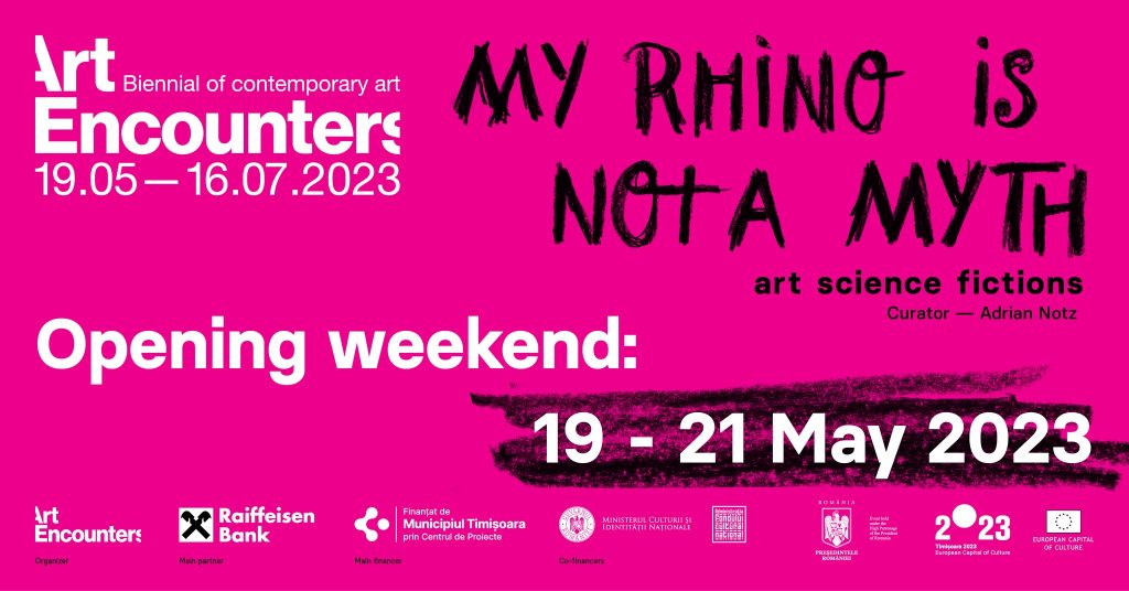 Bienala Art Encounters - My Rhino Is Not a Myth @ Timișoara