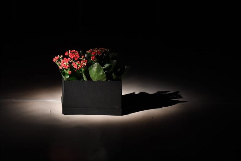 Premieră la unteatru: Otravă, de Lot Vekemans, pentru prima dată pe o scenă din România