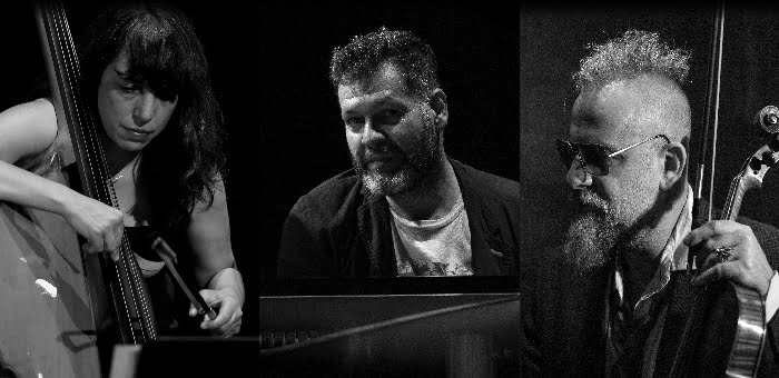 SONGS WITHOUT BORDERS - Lucian Ban, Sarah Murcia, Mat Maneri - a Romanian-French-American Jazz Connection