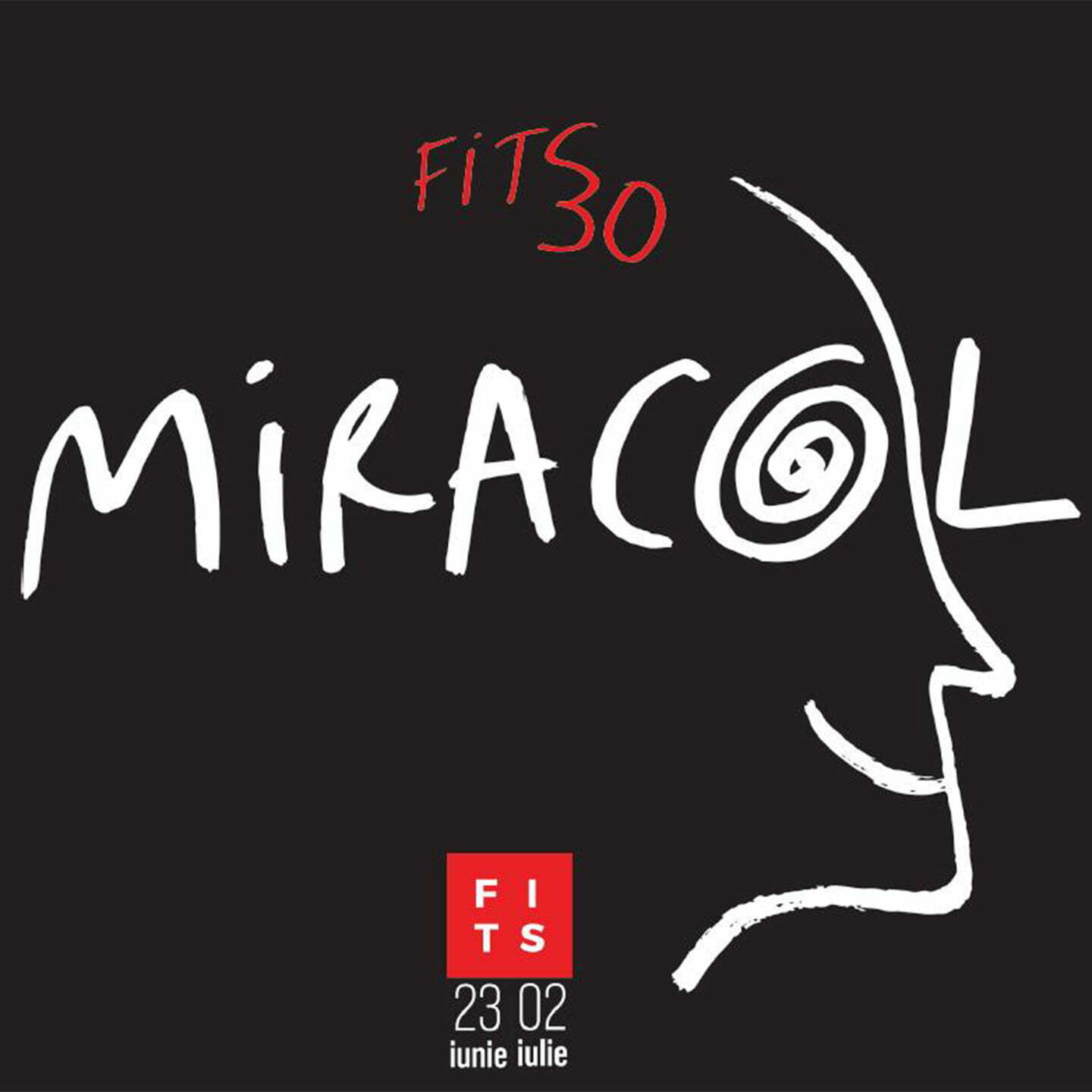Festivalul-Internațional-de-Teatru de la Sibiu -miracol_fits30
