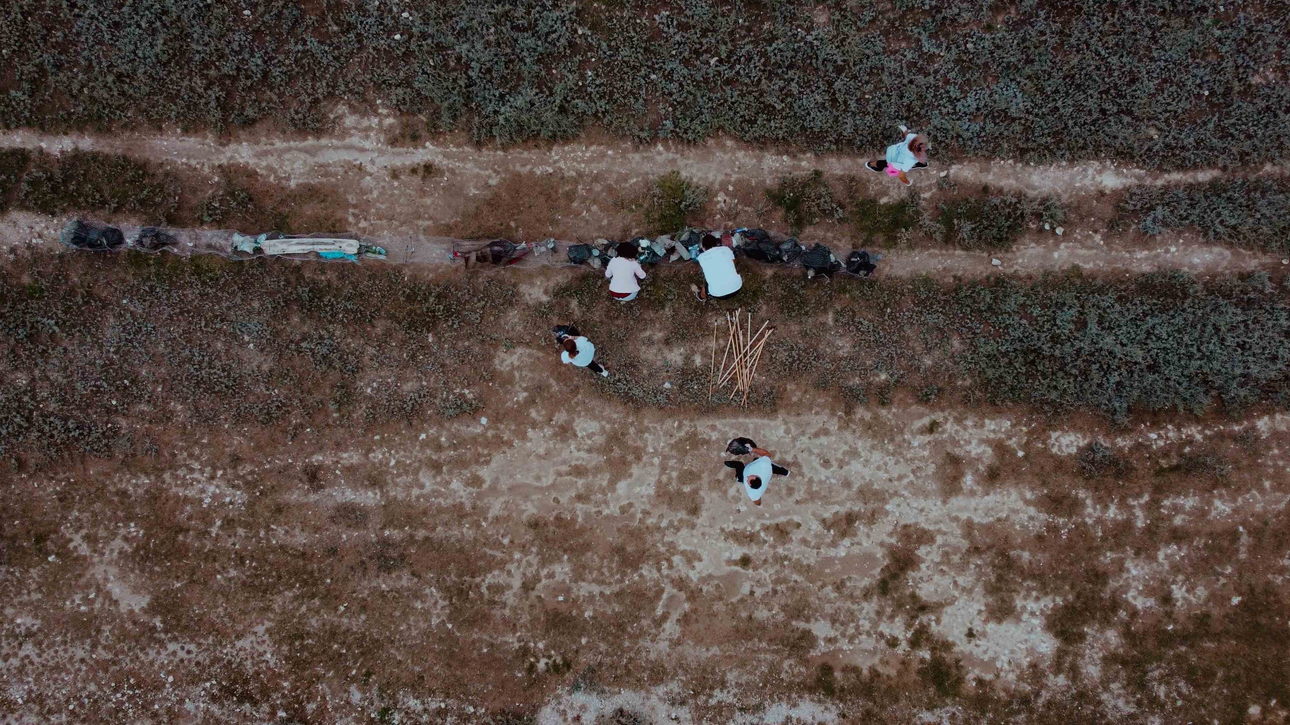 Film și artă contemporană la Marea Neagră