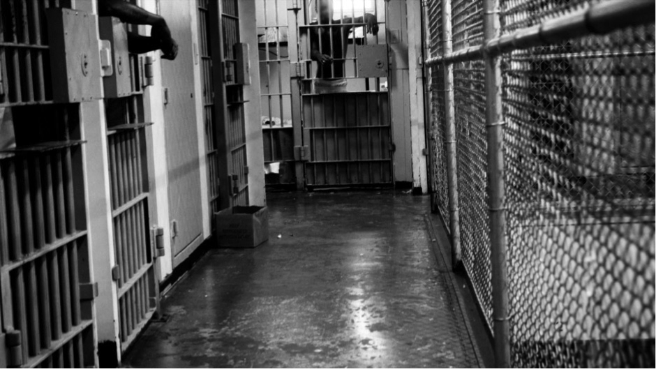 Recomandările lunii iulie 2023 la Crime+Investigation