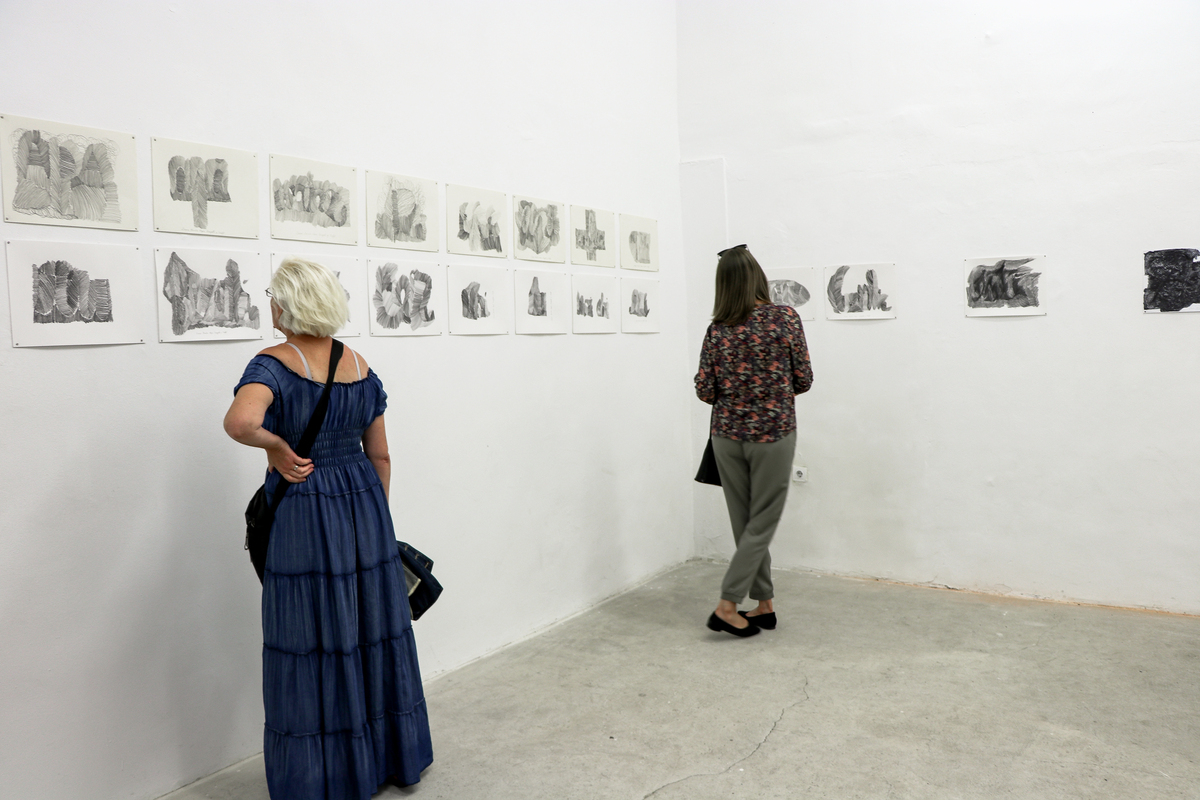 Artista bucureşteană Silvia Trăistaru &nbsp;expune la Camera K&rsquo;ARTE, &icirc;n T&acirc;rgu Mureș