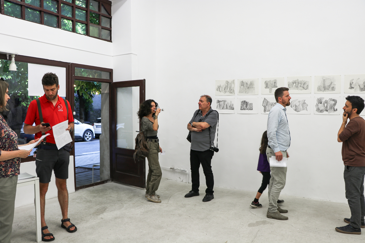 Artista bucureşteană Silvia Trăistaru &nbsp;expune la Camera K&rsquo;ARTE, &icirc;n T&acirc;rgu Mureș