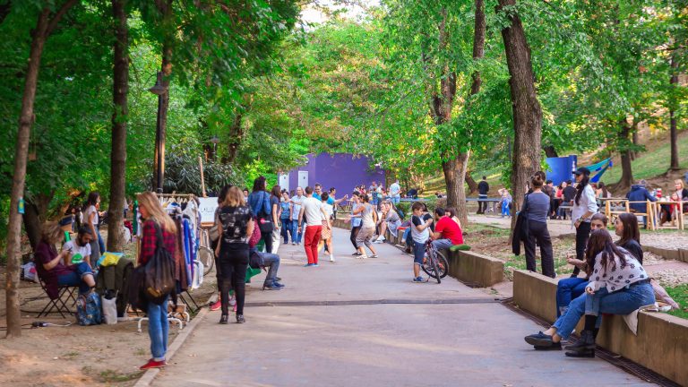 Trifoi Fest: festivalul care pune oamenii, viețuitoarele și planeta mai presus de profit