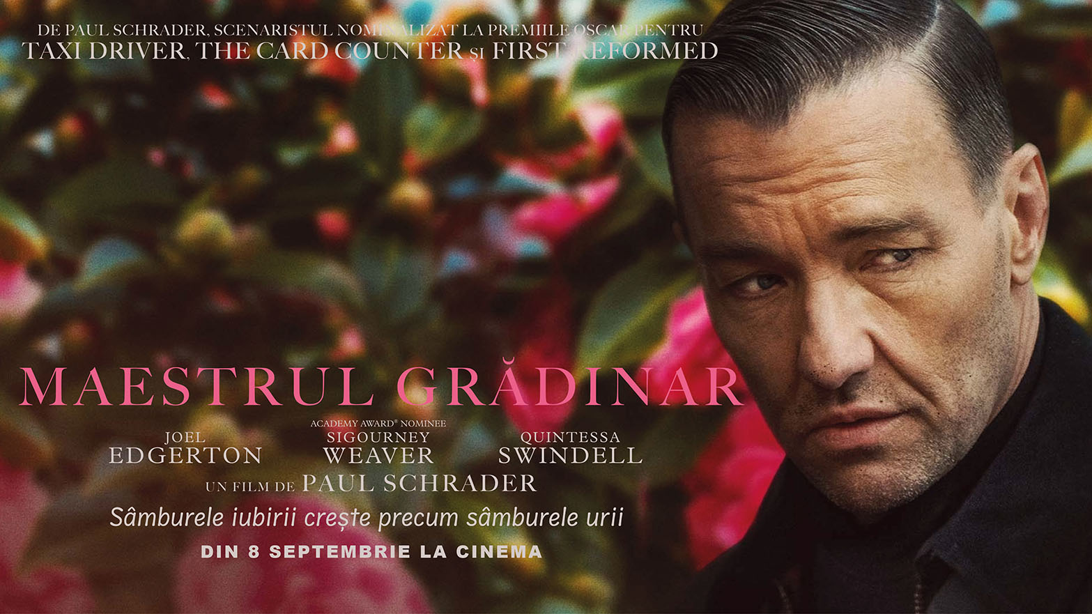 Din 8 septembrie la cinema: MASTER GARDENER de Paul Schrader