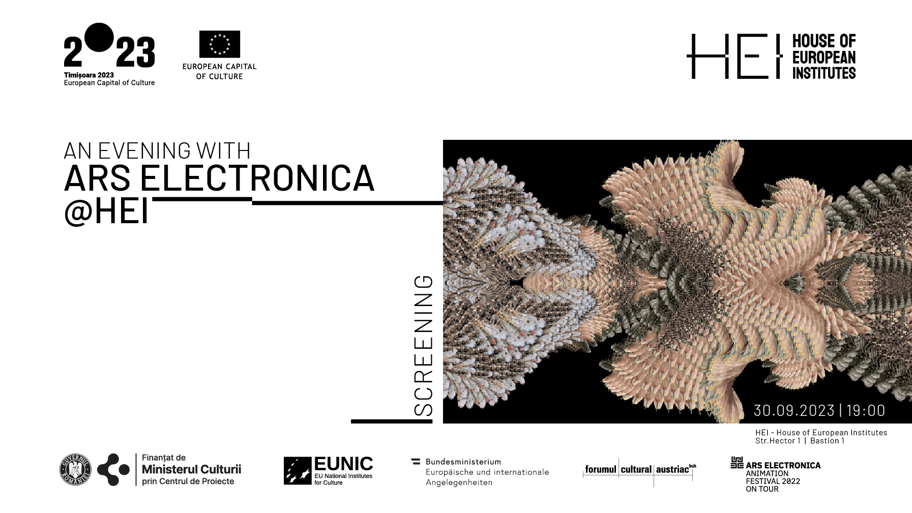 Seri electronice la HEI &ndash; House of European Institutes din Timișoara