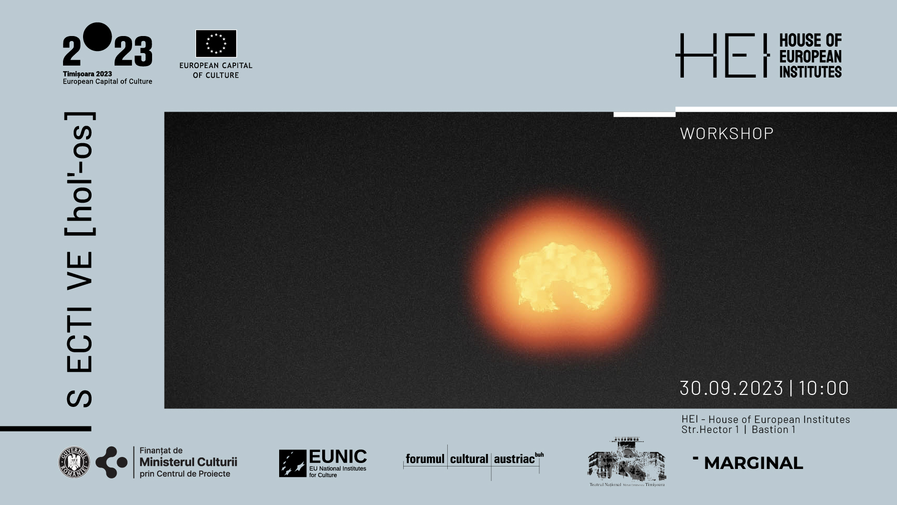 Seri electronice la HEI &ndash; House of European Institutes din Timișoara