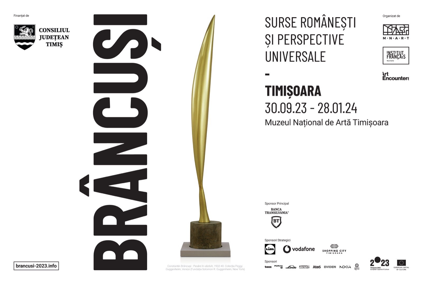A mai rămas o lună de zile până la debutul acestei expoziții eveniment a programului Timișoara 2023 – Capitală Europeană a Culturii: „Brâncuși: surse românești și perspective universale”