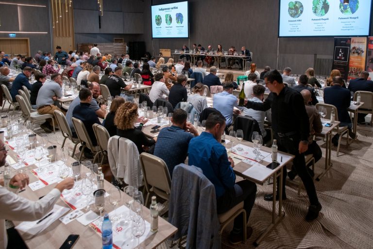 ROVINHUD Wine Show 2023 - Primele 400 bilete Super Early Bird au fost epuizate!