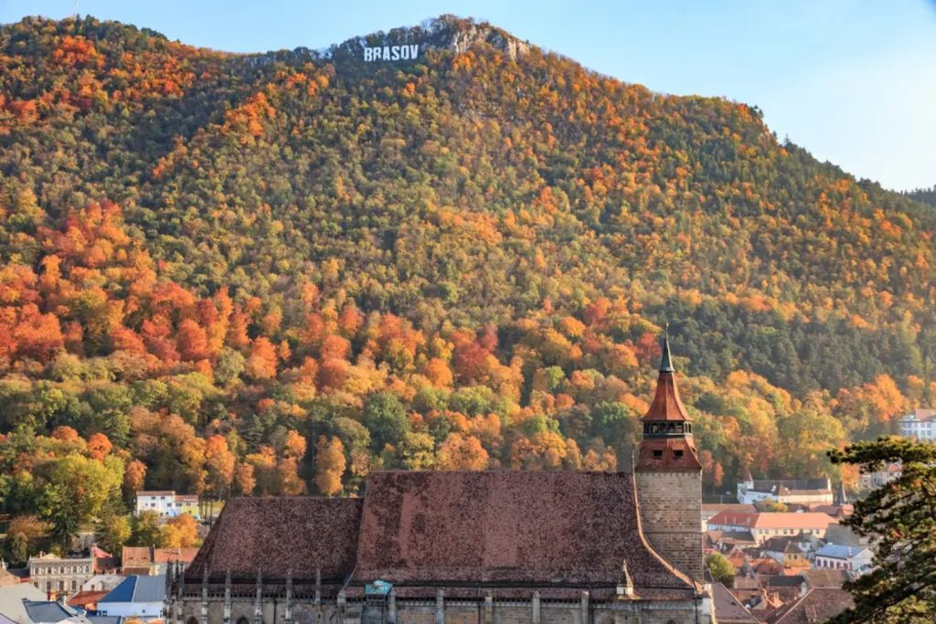 Salut, Brașov! Brașov în Noiembrie: Un călător în lumea muzicii și a artei