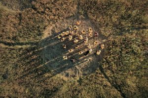 LOST SIGNAL. Intervenții: Miki Velciov