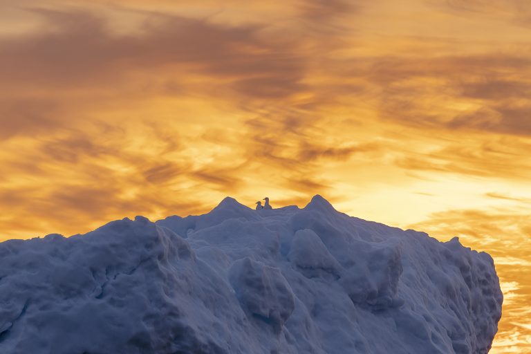 Expoziția „La NORD de cuvinte”, ce ilustrează primele expediții arctice ale fotografului Rareș Beșliu - deschisă în cadrul Bucharest Photofest