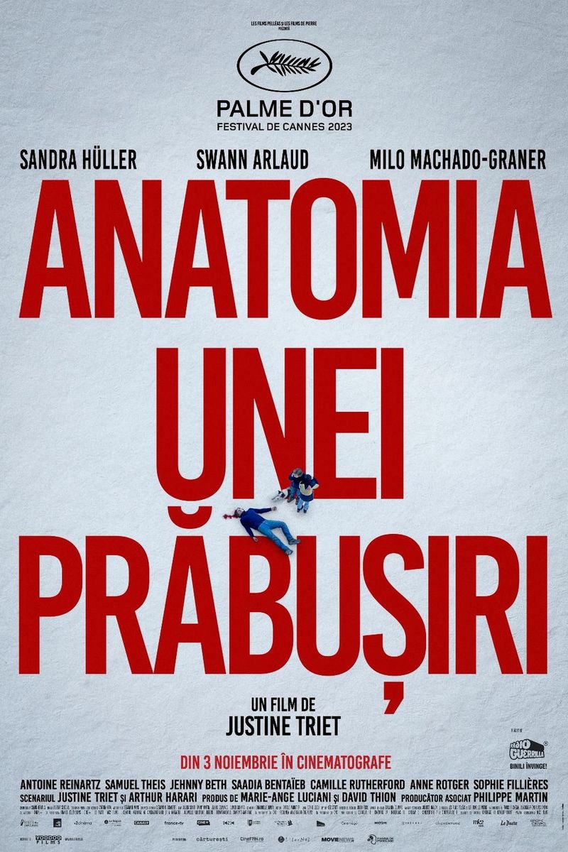 anatomia unei prabusiri afis
