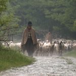 Filmul „Calea laptelui” de Dumitru Budrala ajunge la Chișinău, în deschiderea AF Chișinău