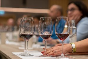 ROVINHUD Wine Show